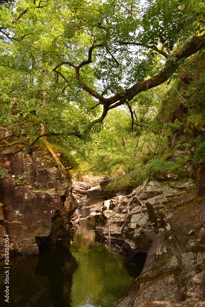 Scottish Landscapes - Highland Gorge