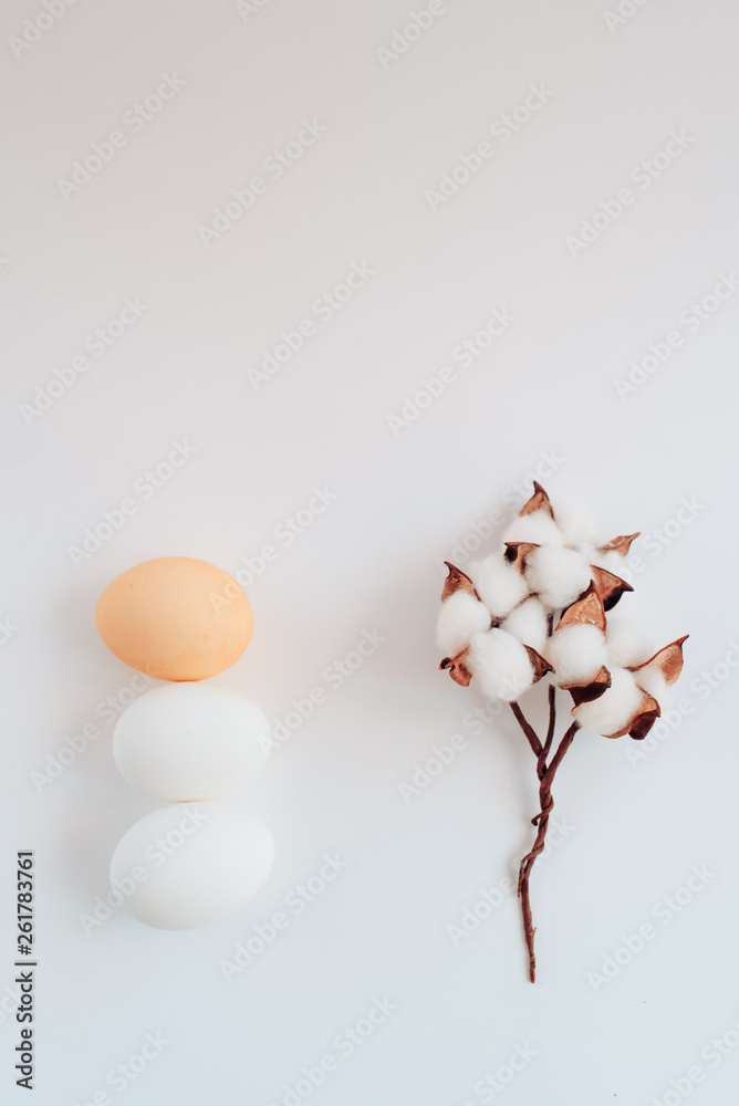 Easter eggs on a white background with a sprig of cotton