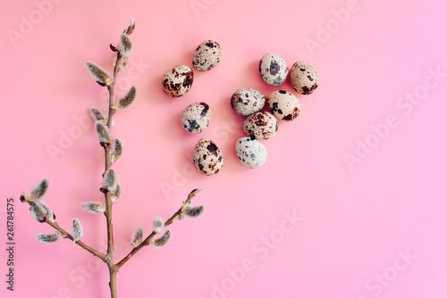 Easter eggs on a pink background with a sprig of willow