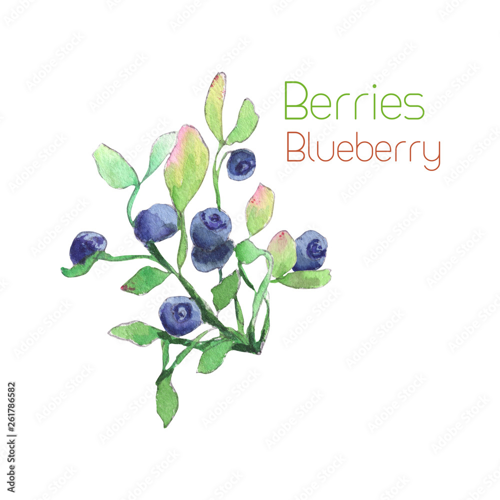 Blueberry