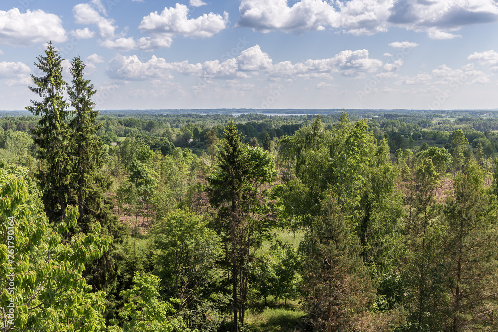 view from the high view tower to the green nature of Latvia - separate trees in the foreground, next to the woodland with the countryside and on the horizon there is a lake