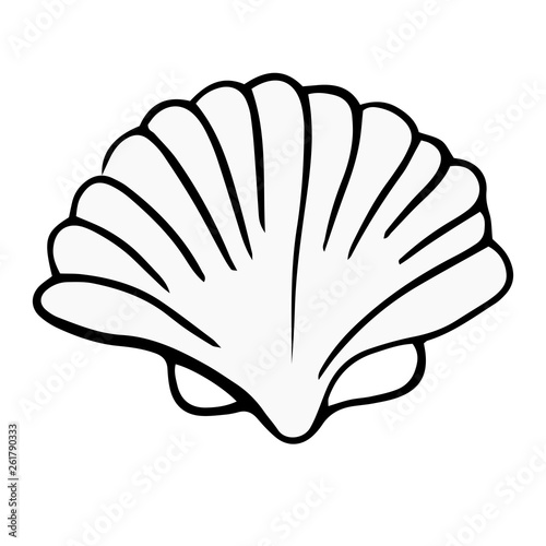 Seashell summer vector illustration 