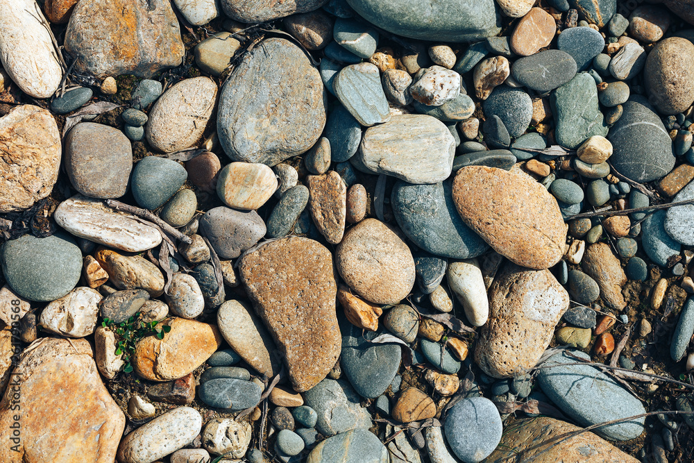 stone texture, top view Close up abstract background with dry round reeble pattern, have dry leaves with stones stone texture, top view Close up abstract background with dry round reeble pattern, have dry leaves with stones