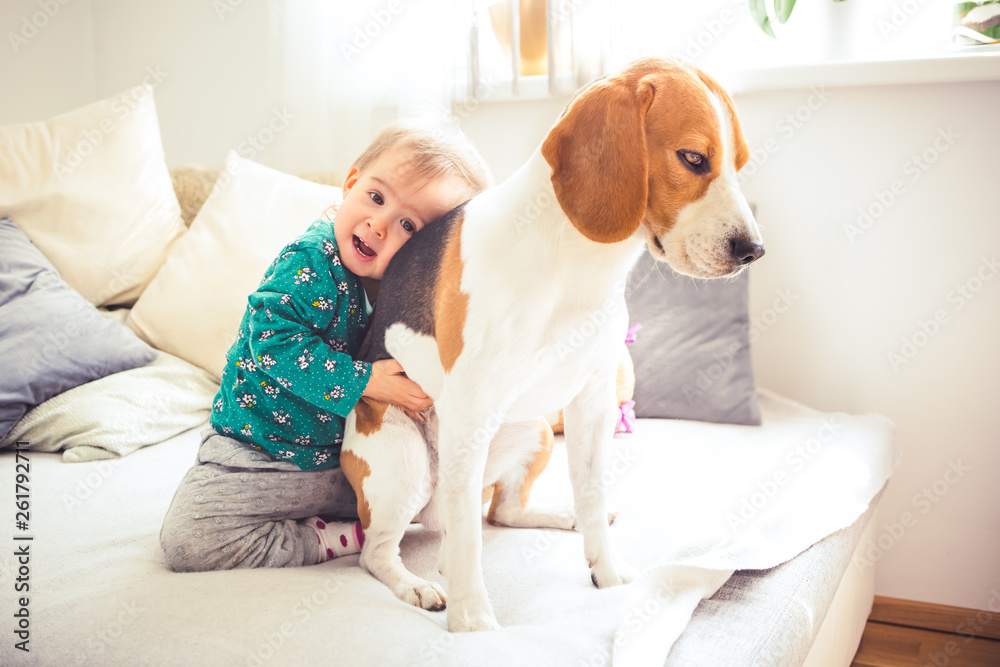 Baby girl hugging a Beagle dog on a couch in a bright living room.