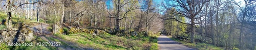 Rural mountain road panoramic view