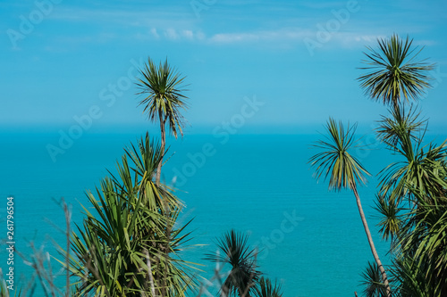 Palms on beach, blue sky and clear water of sea