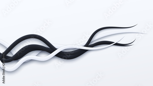 Vibration of white and black tender lines