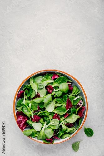 Fresh green mixed salad leaves in bowl with radicchio and lamb's lettuce.