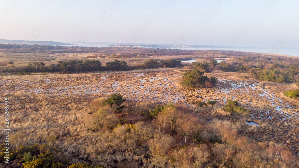 An aerial view of the Studland Nature Reserve with sand dune, peat bog and sea under a majestic hazy blue sky