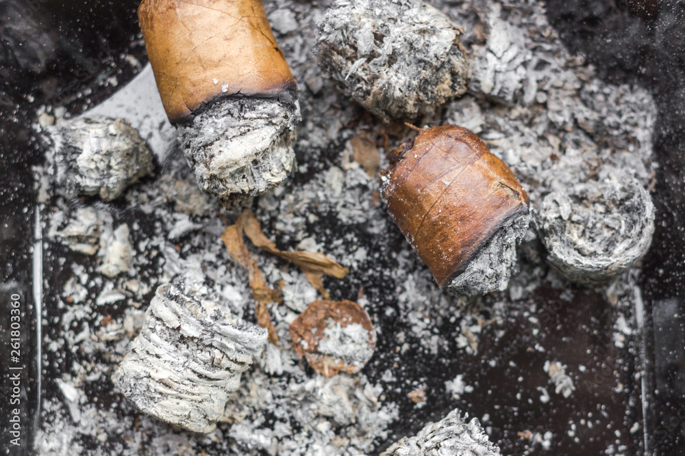 Obraz premium Expensive Cuban cigar. Cigarette butts in an ashtray. Male passion. Smoker's cough. Bad habit. Correct twisting tobacco sheets. Good tobacco. Smoke cigars. Lung cancer. Ash close up.