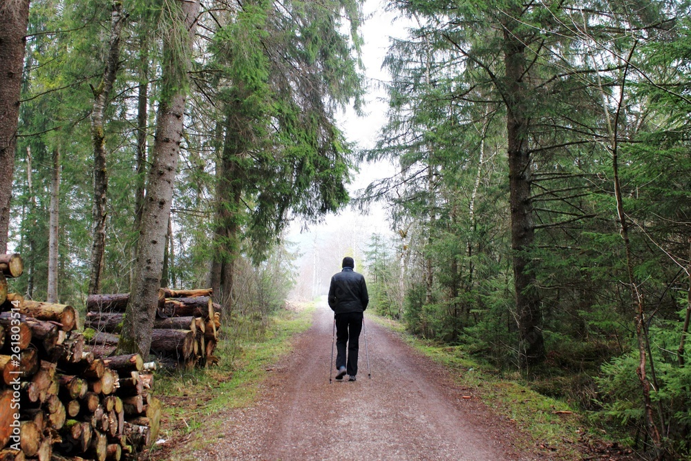 Mann beim Nordic Walking im Wald, Allgäu, Bayern Mann beim Nordic Walking im Wald, Allgäu, Bayern
