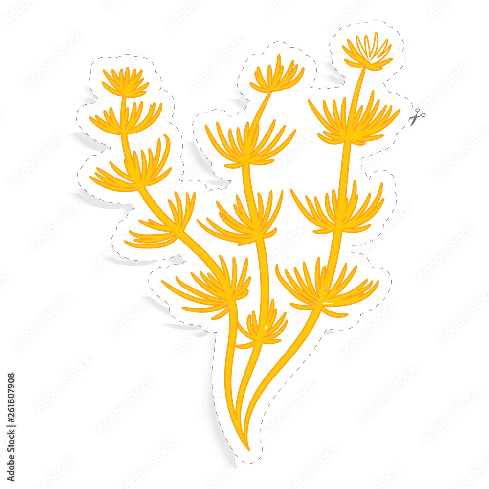 seaweed sticker vector
