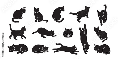 cat vector kitten icon logo cartoon character illustration doodle black