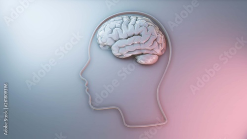Human brain intelligence and creativity concept 3D illustration