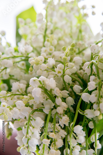 A bouquet of lilies of the valley on a white background