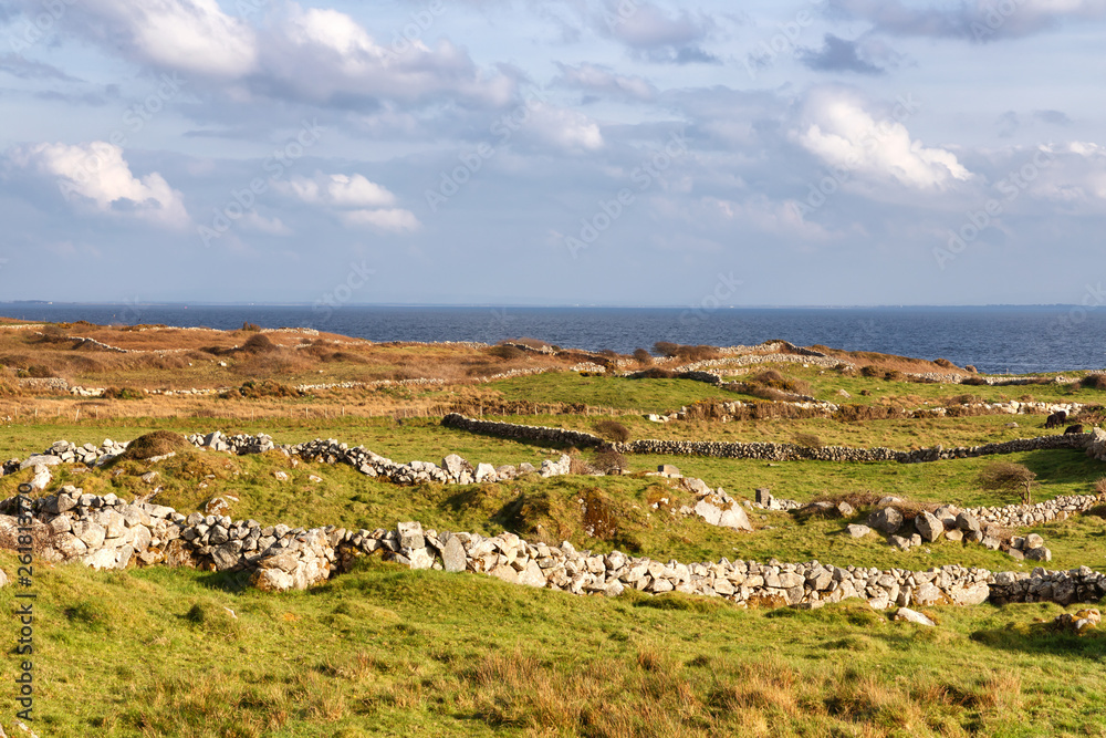 Farm field and Galway bay with vegetation and stone wall Farm field and Galway bay with vegetation and stone wall