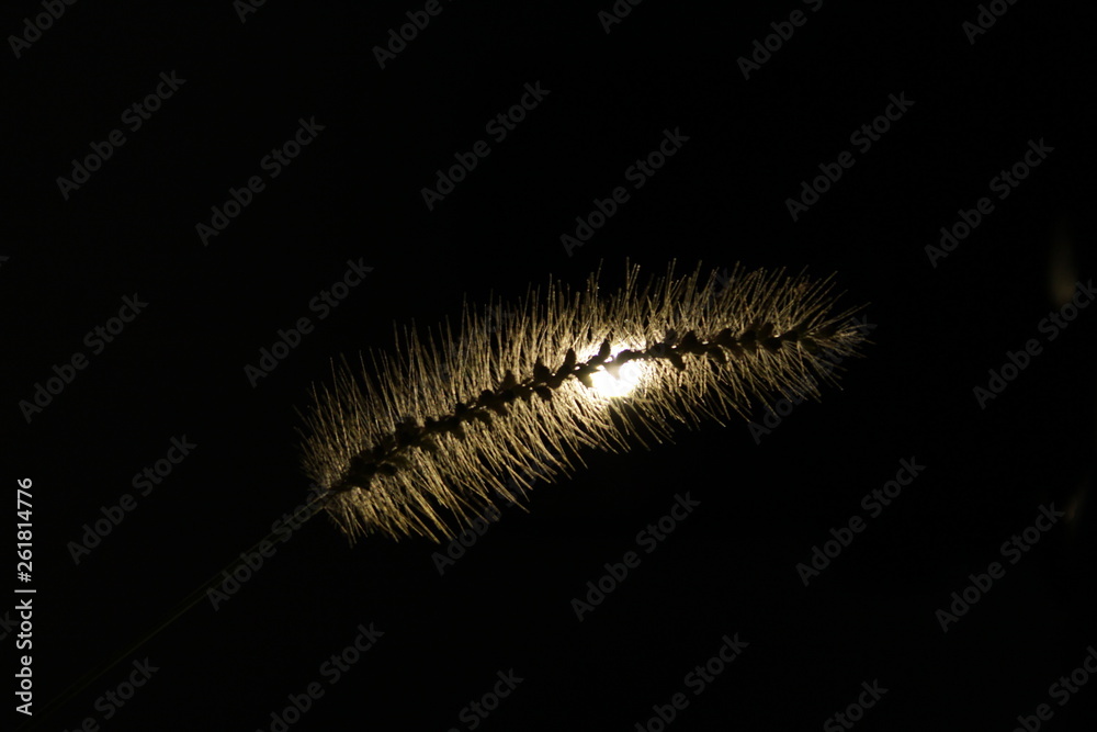 Obraz premium paisagem