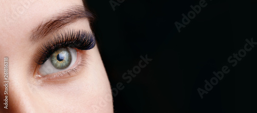 Close up view of beautiful green female eye with long eyelashes and perfect trendy eyebrows on dark background. Eyelash extension procedure.