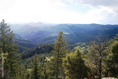 View of the Rocky Mountains in Denver. Beautiful pine trees in the foreground and blue mountains in the back. sunny day in may.