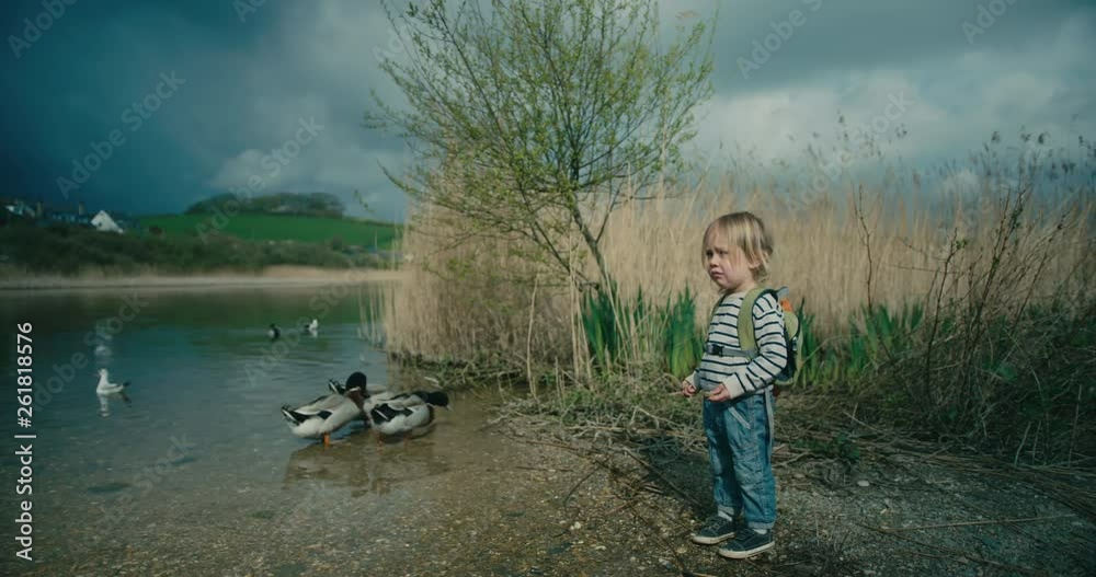 Little toddler standing by a pond looking at the ducks Little toddler standing by a pond looking at the ducks