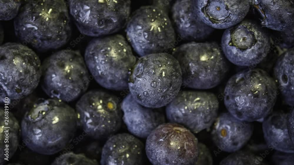 Close up macro of fresh washed organic blueberries with a diagonal pan Close up macro of fresh washed organic blueberries with a diagonal pan