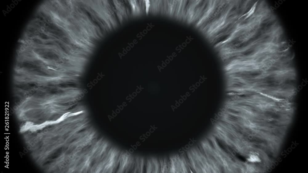 The gray eye is an extreme close-up of the iris and pupil, widening and tapering.