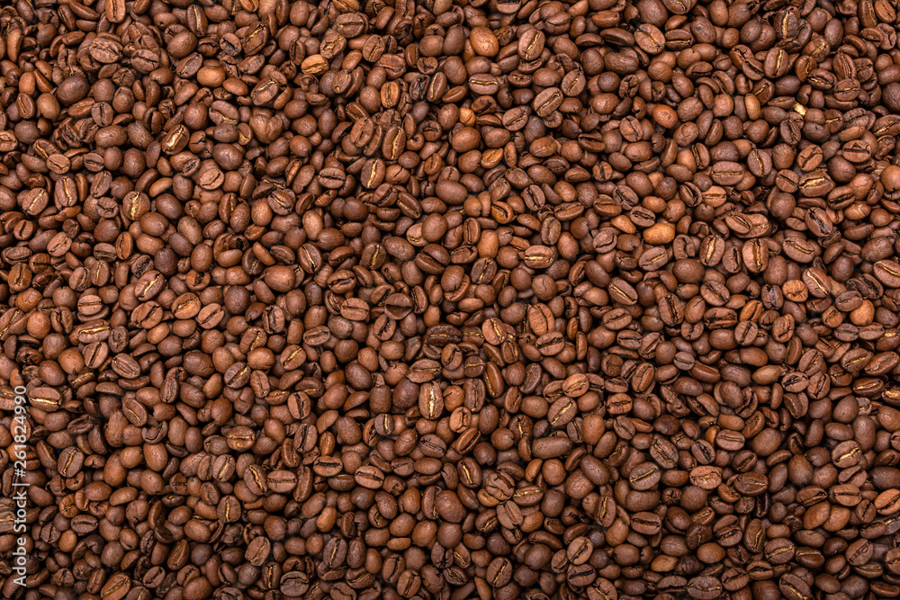 Fototapeta premium Mixture of different kinds of coffee beans. Coffee Background. Concept view.