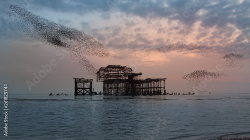 Sunset with murmuration of starlings over the ruins of the old West Pier