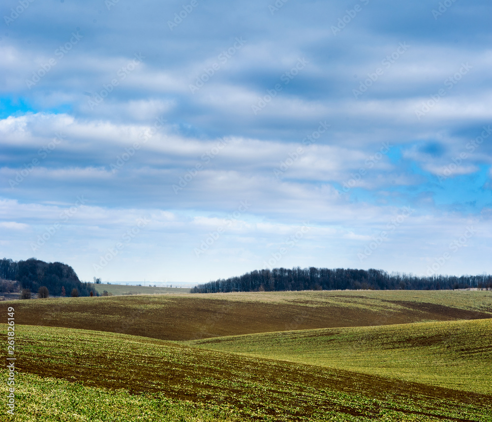 Undulating plowed field in early spring, a group of trees on the horizon, white clouds in the blue sky