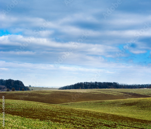 Undulating plowed field in early spring, a group of trees on the horizon, white clouds in the blue sky