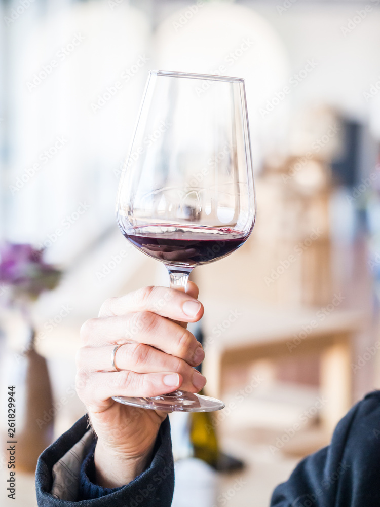 Male hand holding a glass of red wine at wine tasting in Setugal wine region, Portugal