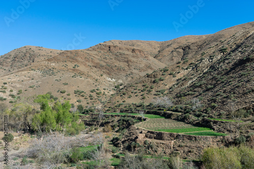 Atlas Mountains in Morocco with Terraces