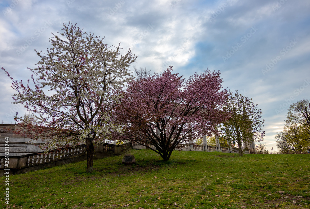 Obraz premium Frühling