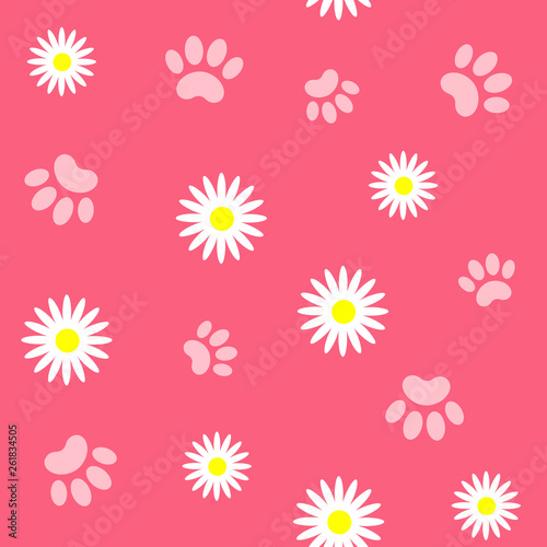 Fototapeta Naklejka Na Ścianę i Meble -  White daisies and animal paws on a pink background seamless pattern.