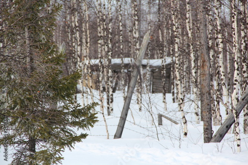 501 construction sites in the YNAO (Stalin GULAG) photo