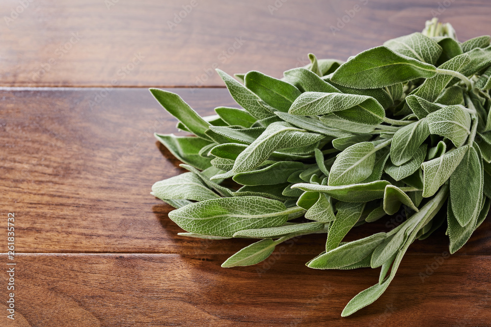 Bunch of sage on the table Bunch of sage on the table