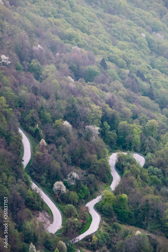 Windy, curvy small road through spring forest in Slovenian, Europe