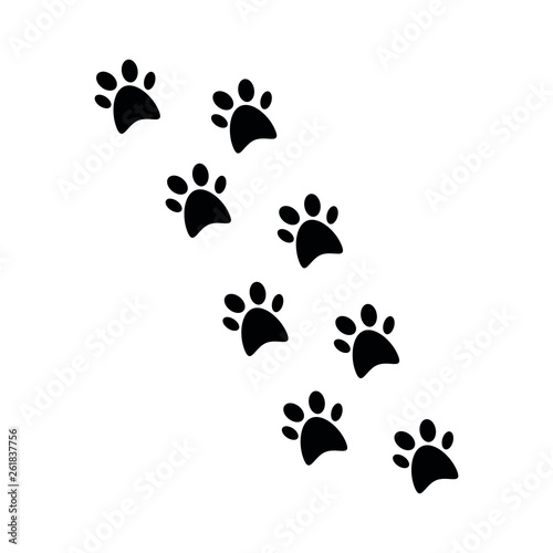 Footprint from animal