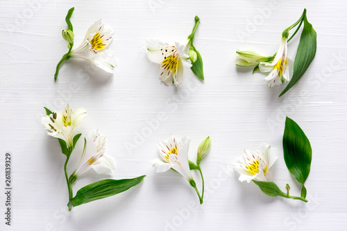 Pattern of white natural flowers Alstroemeria on a white wooden background. Floral pattern. Pink flowers of Alstroemeria on a white background. Flat lay, top view.