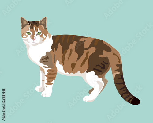 Cat vector FLAT DESIGN color trend graphic illustration