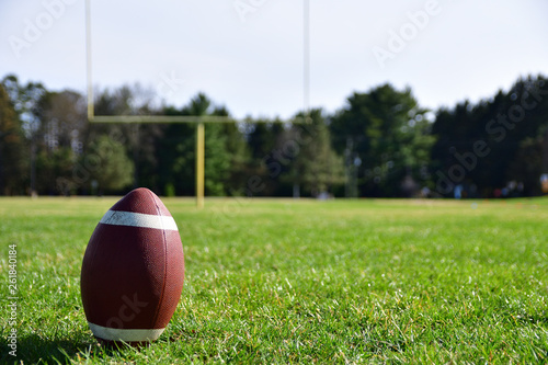 Close-up photo of a football on a sunny day with a goal post, football field and trees in the background 
