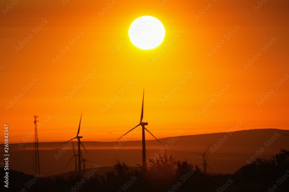 Obraz premium Central Washington Wind Turbines at Sunrise