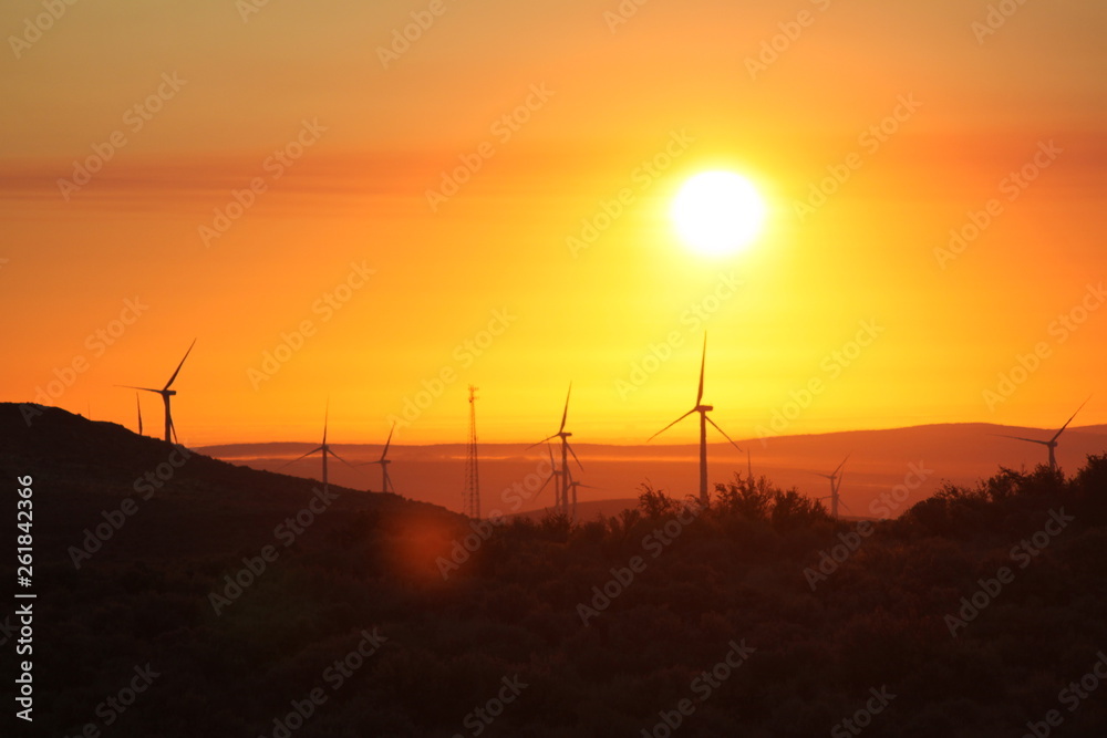 Obraz premium Central Washington Wind Turbines at Sunrise
