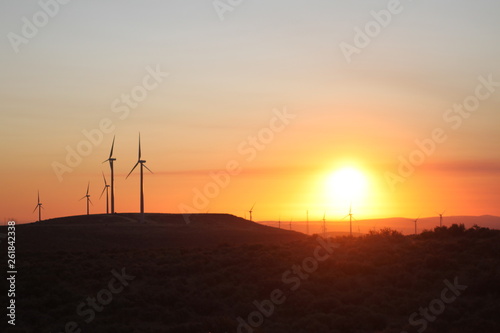 Central Washington Wind Turbines at Sunrise © Steven