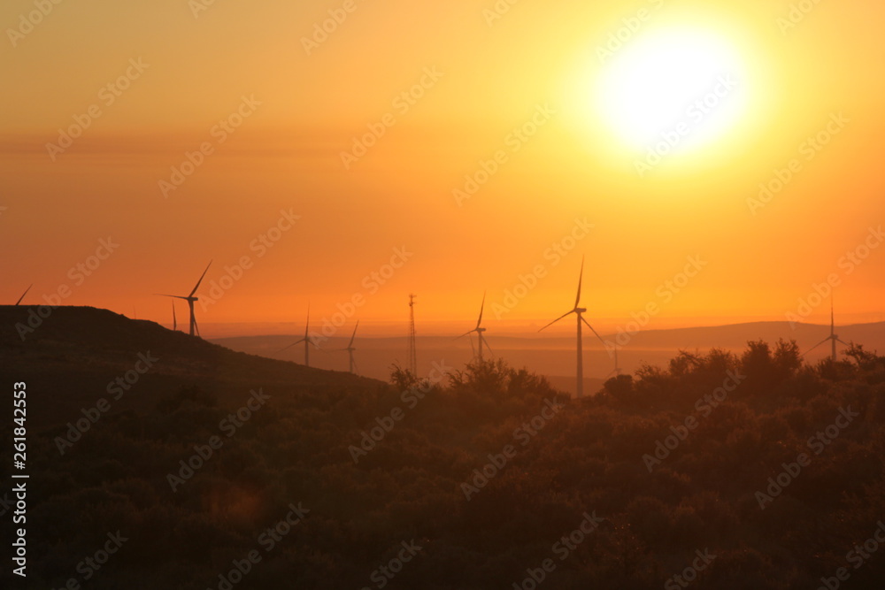 Central Washington Wind Turbines at Sunrise