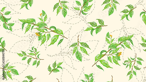 Botanical background  laurel  ficus  tea. Design element for cover  invitation  booklet  printing. Colorful seamless pattern. Green spring leaves.