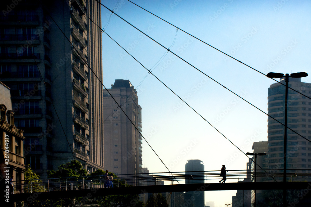 Obraz premium bridge