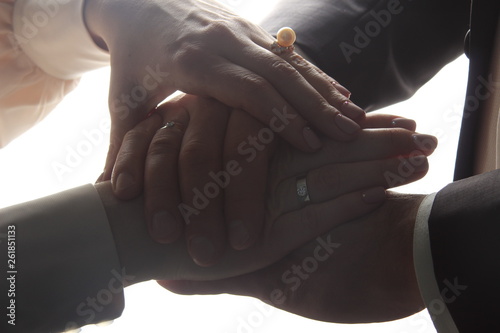 wedding, bride, dress, woman, white, fashion, beautiful, love, beauty, marriage, couple, people, groom, wedding dress, vintage, church, ceremony, young, romantic, restaurant, love, hand, white 