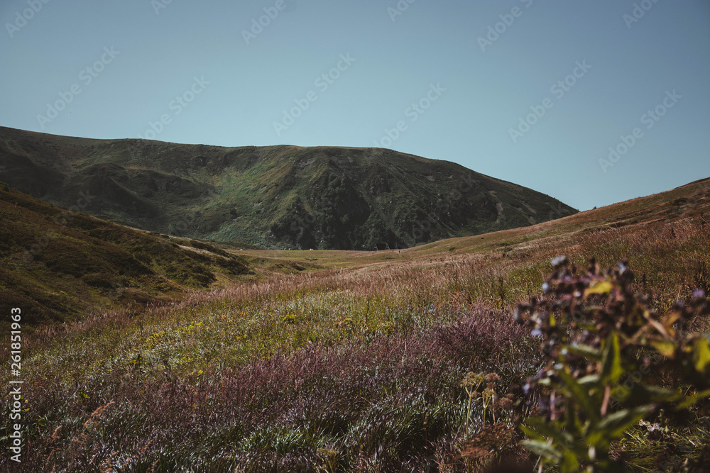 Fototapeta premium Summer in mountains