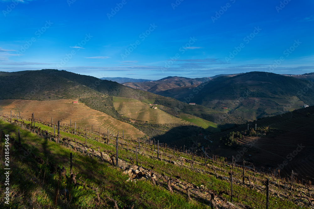 View of the terraced vineyards in the Douro Valley near the village of Pinhao, Portugal; Concept for travel in Portugal and most beautiful places in Portugal